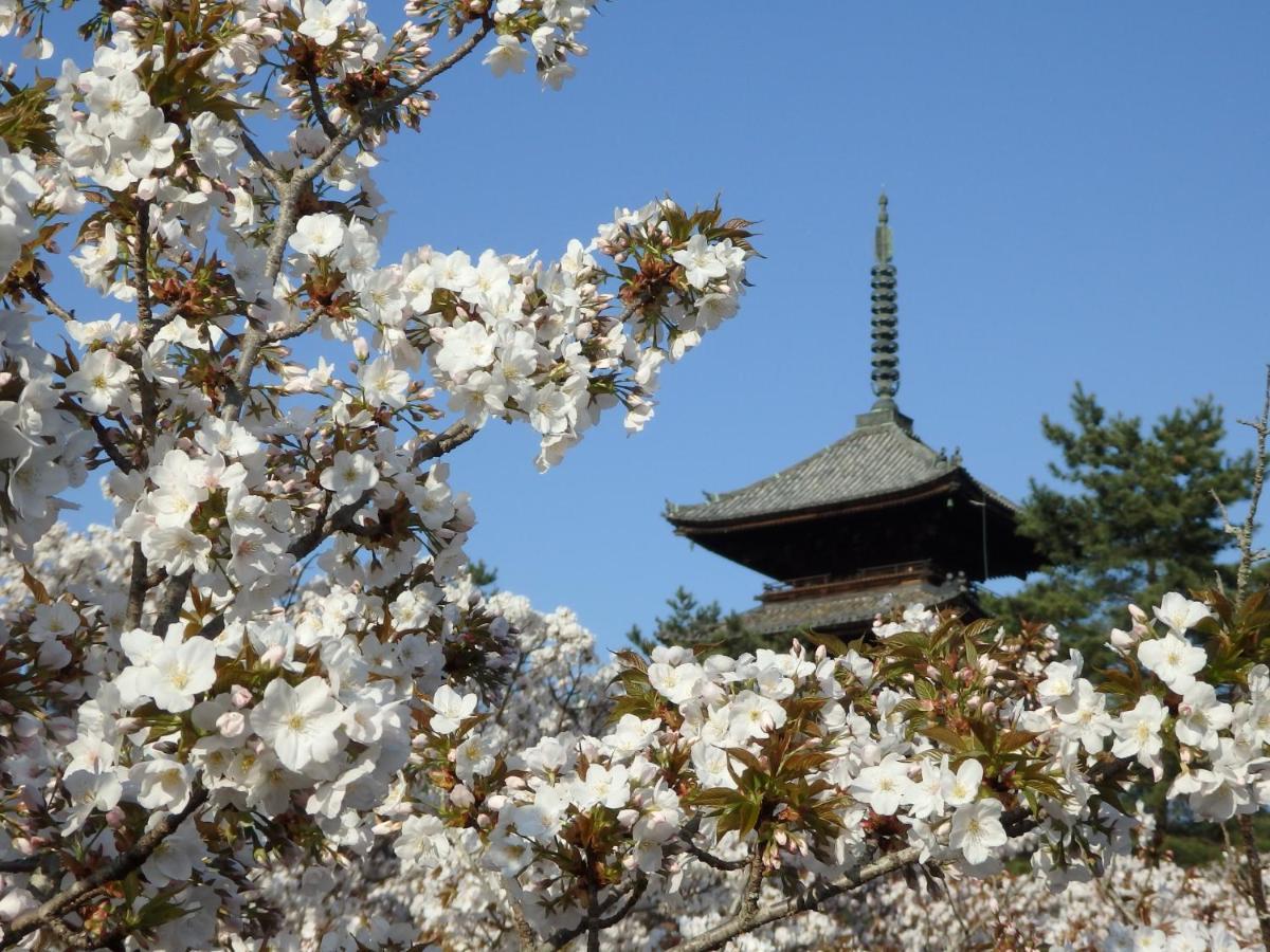 Stay Sakura Kyoto Tsubaki Buitenkant foto