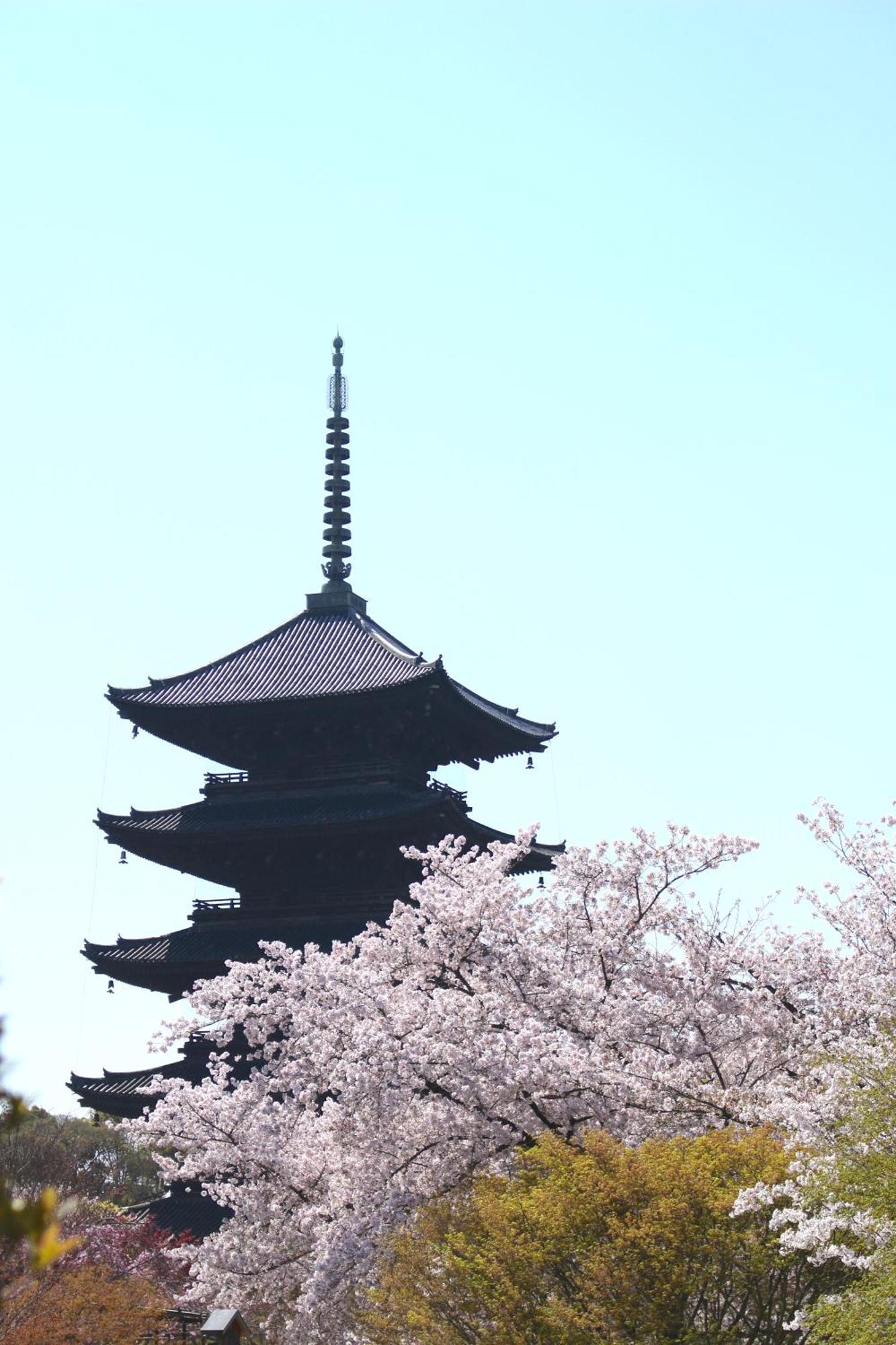 Stay Sakura Kyoto Tsubaki Buitenkant foto